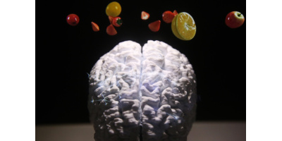 A che punto siamo con la simulazione del cervello umano?